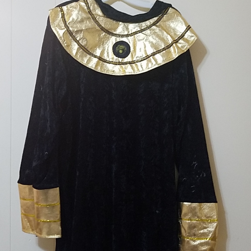 Men's Pharoah Costume. Size 2X.